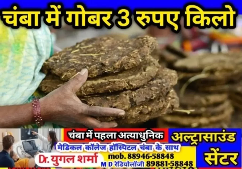 Chamba News चंबा में देसी गाय का गोबर इस दर से खरीदेगा जाएगा