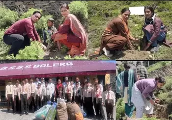 latest news : चंबा में एक पेड़ माँ के नाम अभियान-2 शुरू